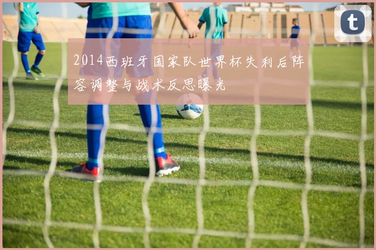 2014西班牙国家队世界杯失利后阵容调整与战术反思曝光