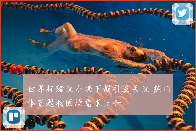 世界杯赌注小说下载引发关注 热门体育题材阅读需求上升